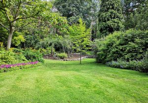 Optimiser l'expérience du jardin à Montmartin